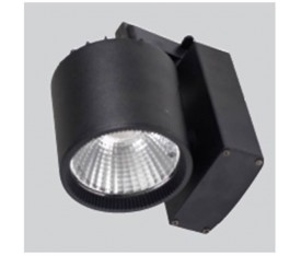 30 Watt Cob Led Ray Armatür